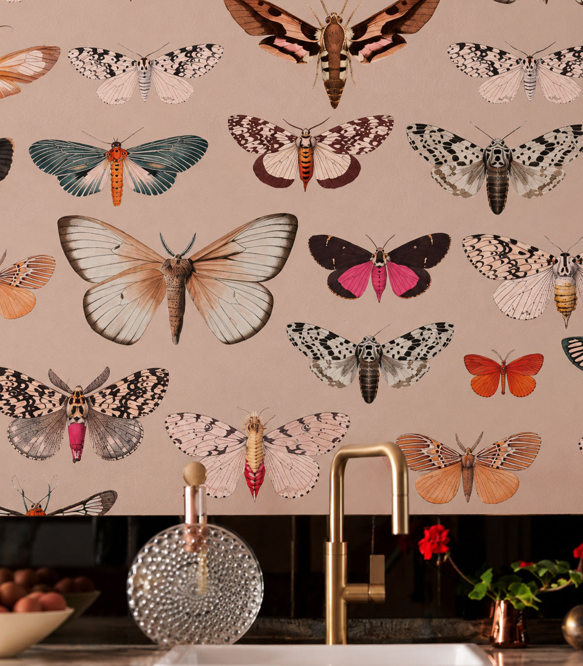 Tapeta Colorful Butterfly Pink