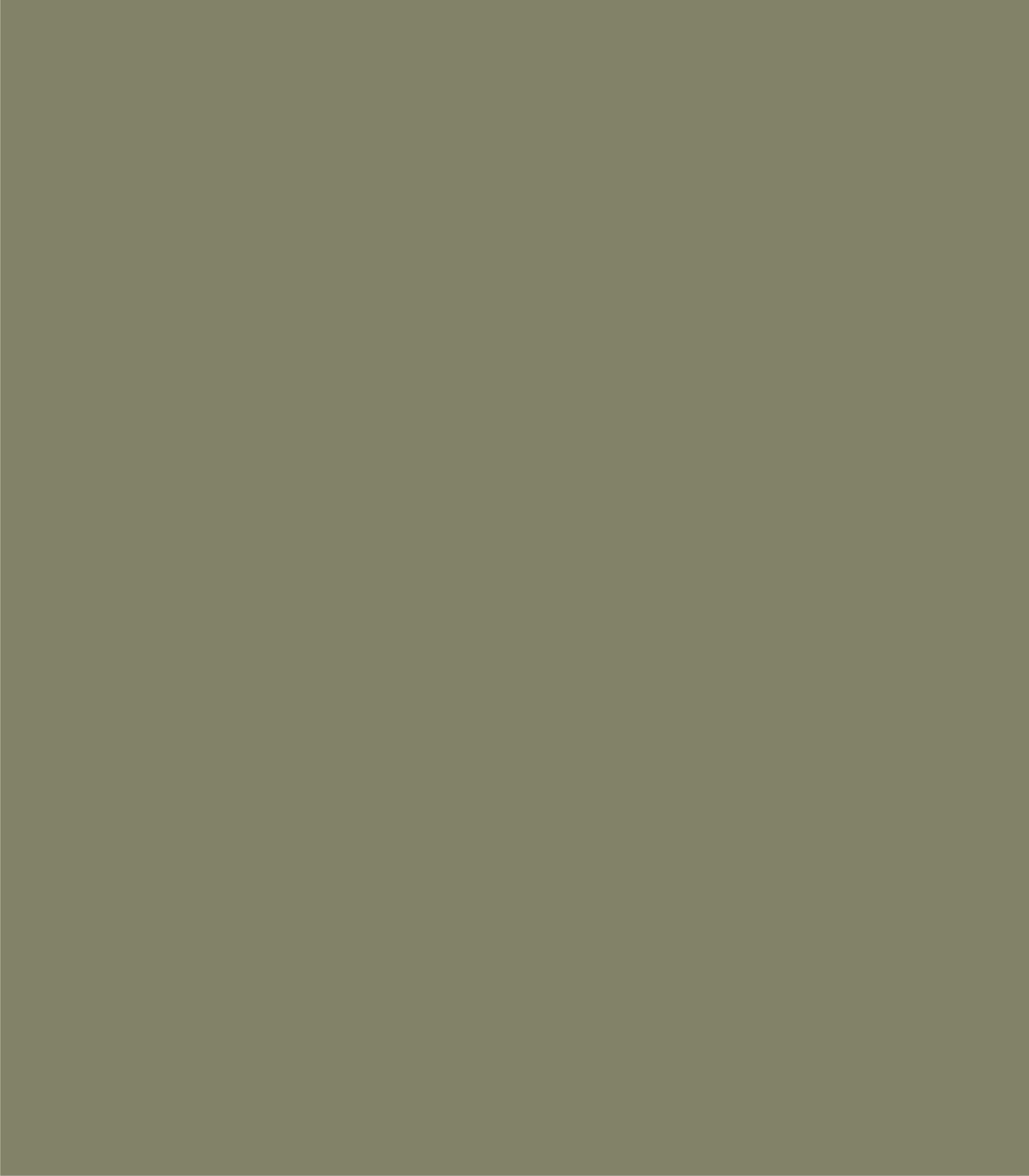 Arch Solid Soft Mineral - Wallcolors®