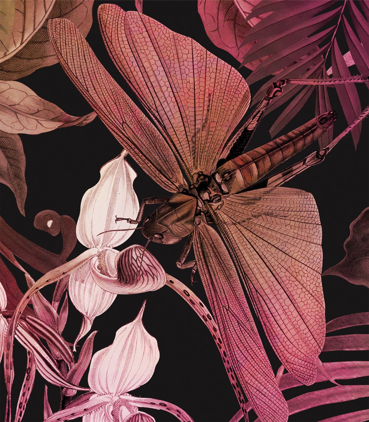 Tapeta Tropical Composition Pink - Wallcolors®