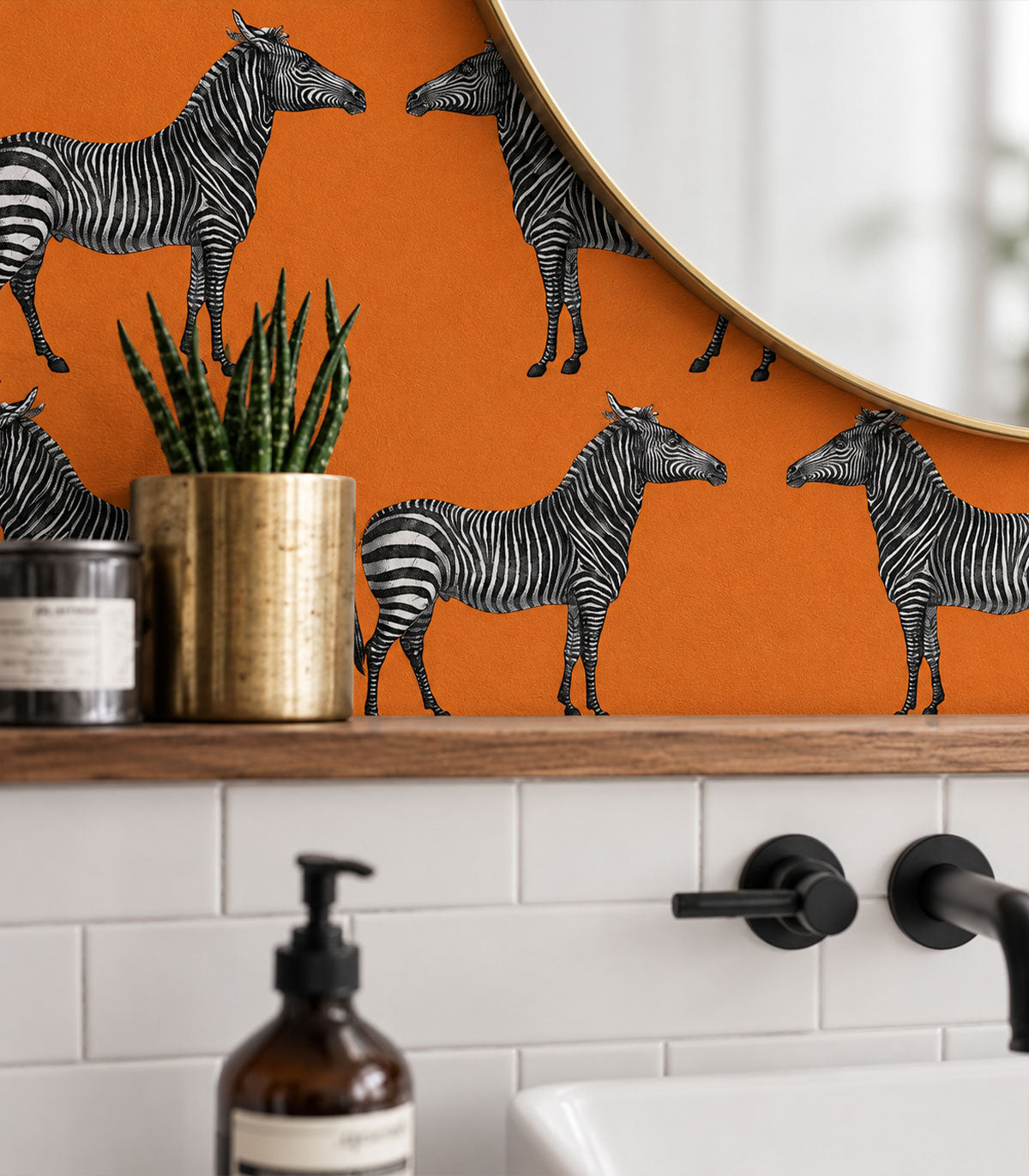 Tapeta Zebra