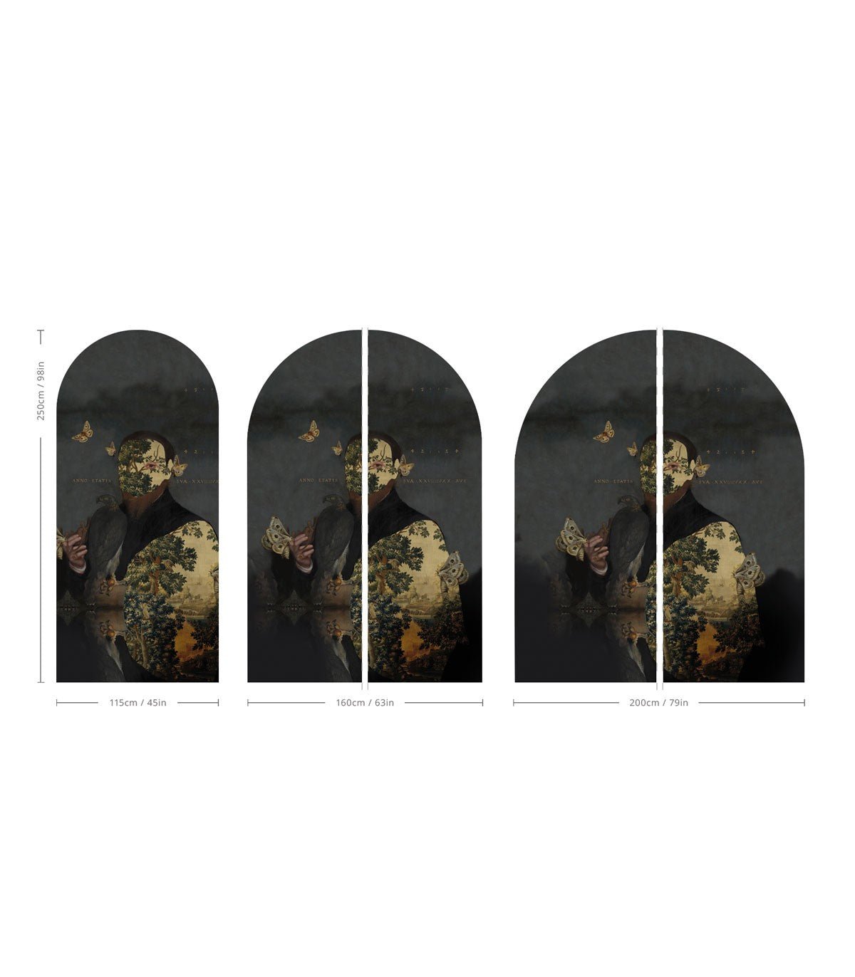 Arch Gentleman Moth - Wallcolors®