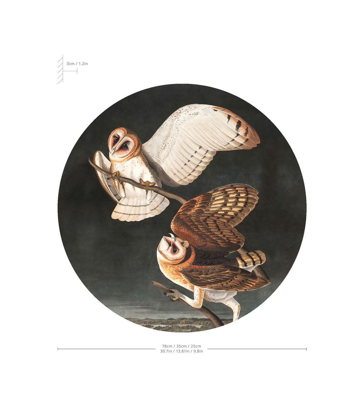 Dots Lighting Owls - Wallcolors®