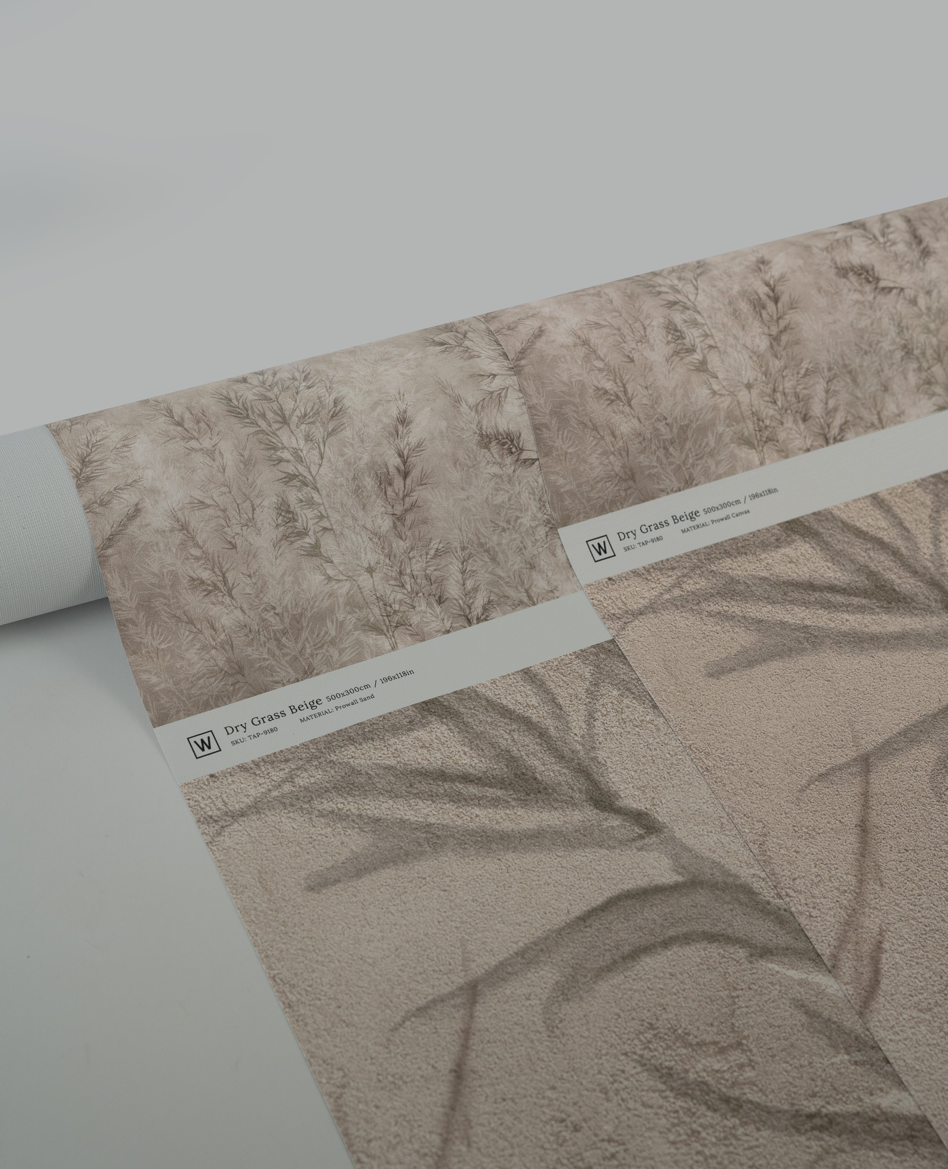 Tapeta Dry grass beige