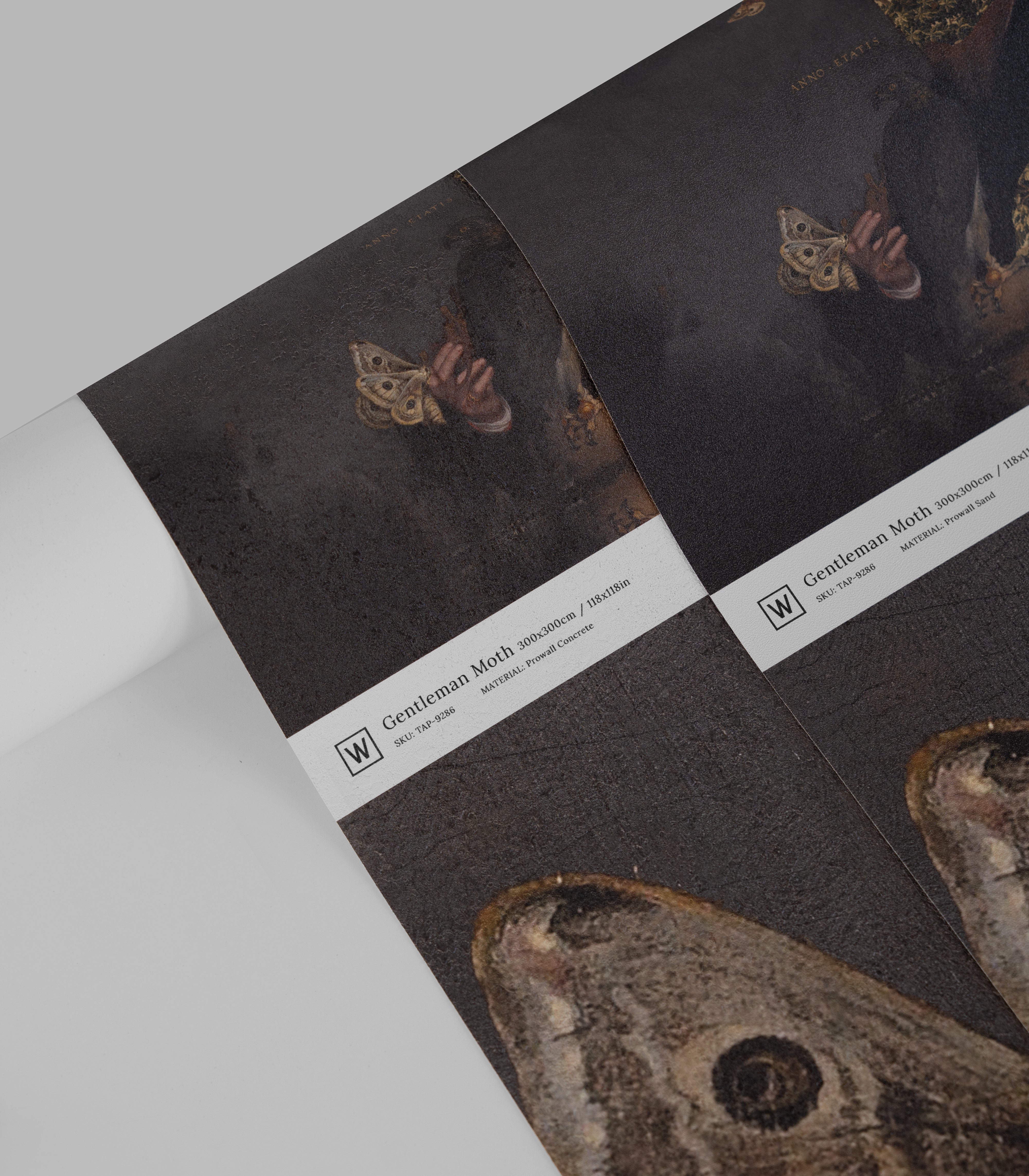 Tapeta Gentleman Moth