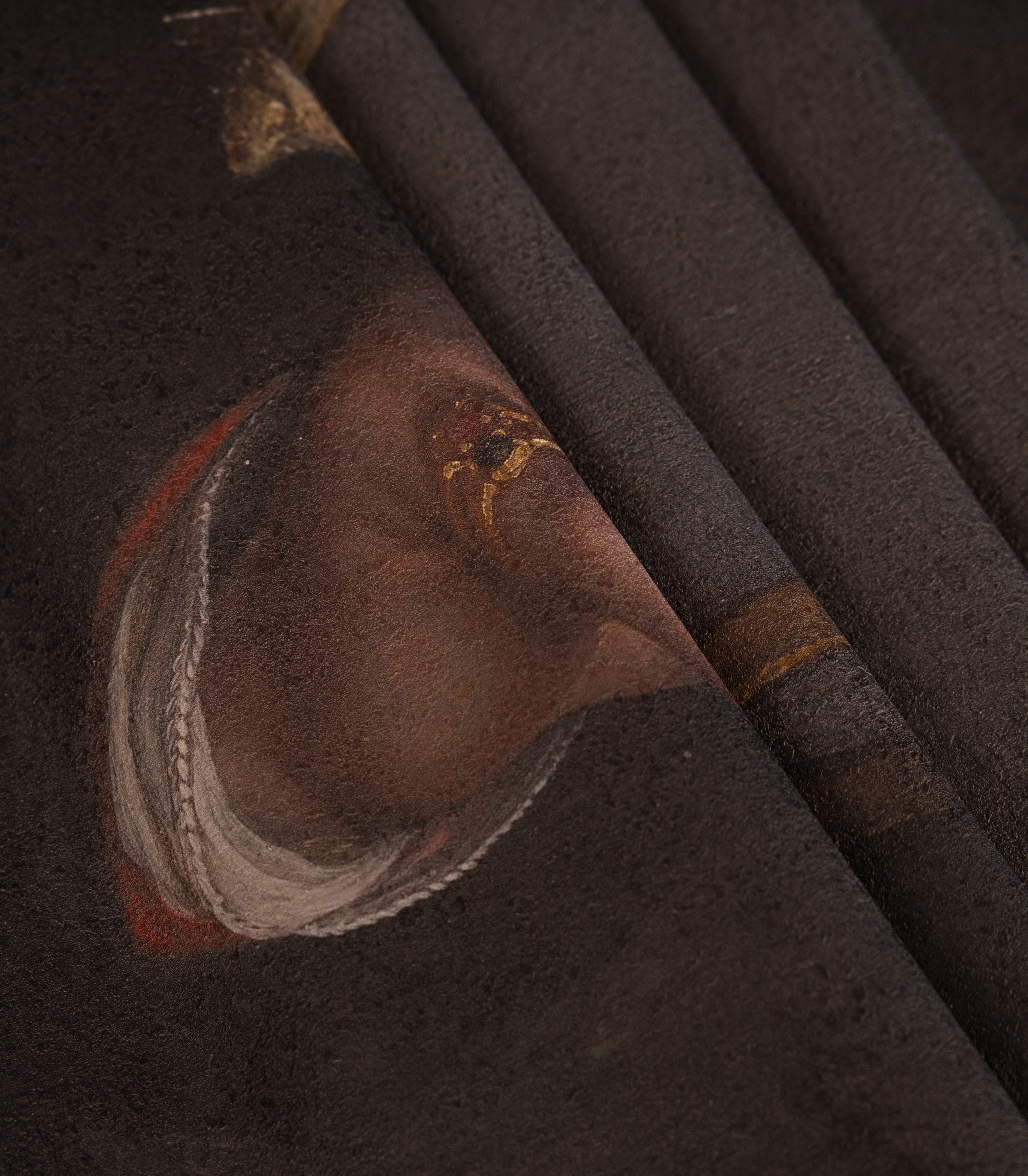 Tapeta Gentleman Moth