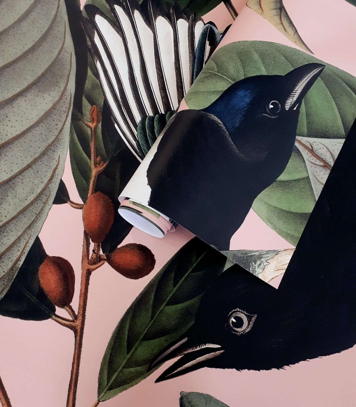 Tapeta Magpie Pink