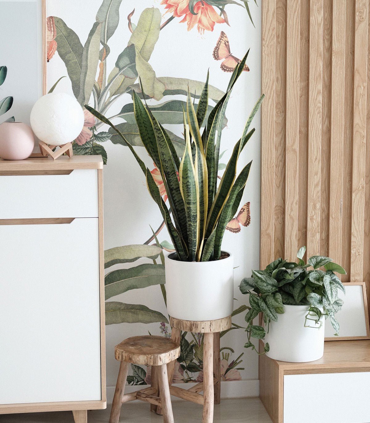 Tapeta Paradise - Wallcolors®
