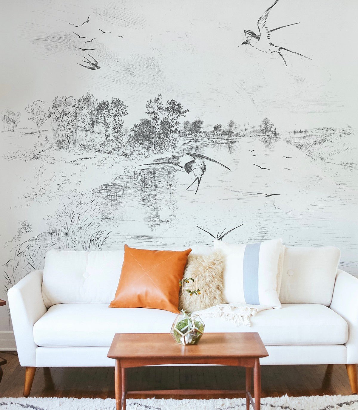 Tapeta Swallow - Wallcolors®