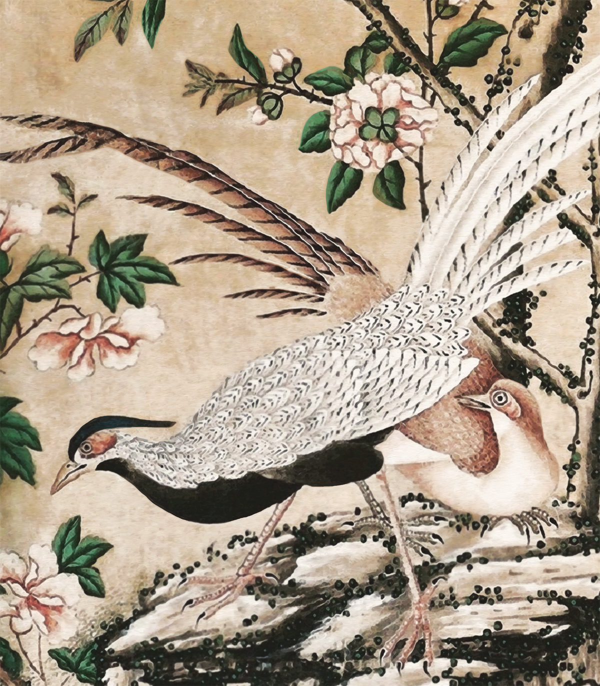 Tapeta Chinoiserie