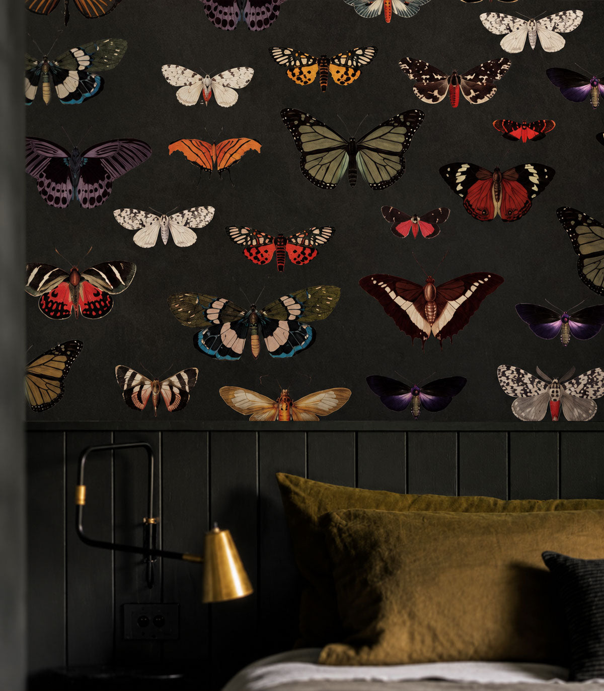 Tapeta Colorful Butterfly Green