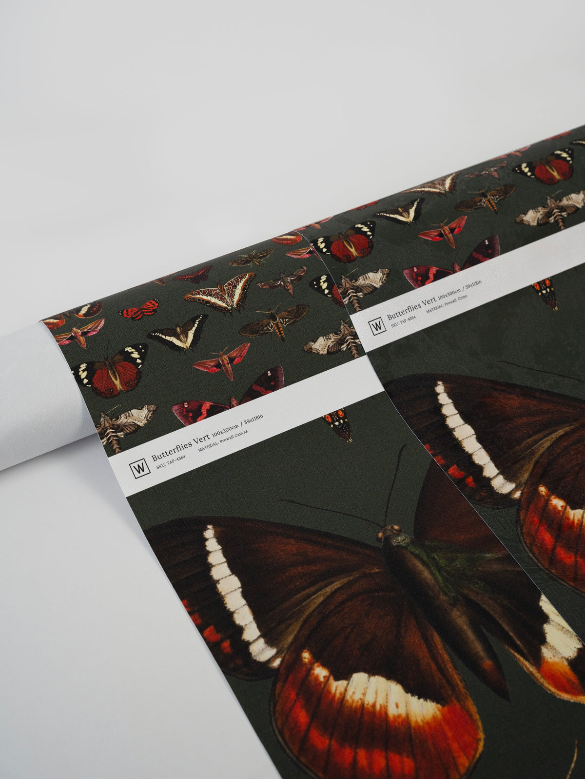 Tapeta Butterflies Vert
