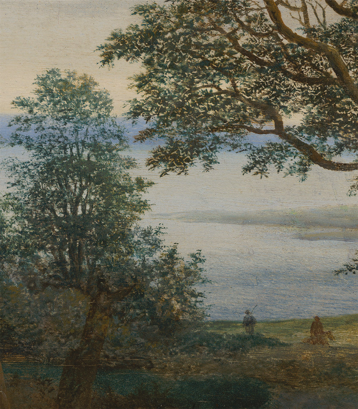 Tapeta Evening Grove