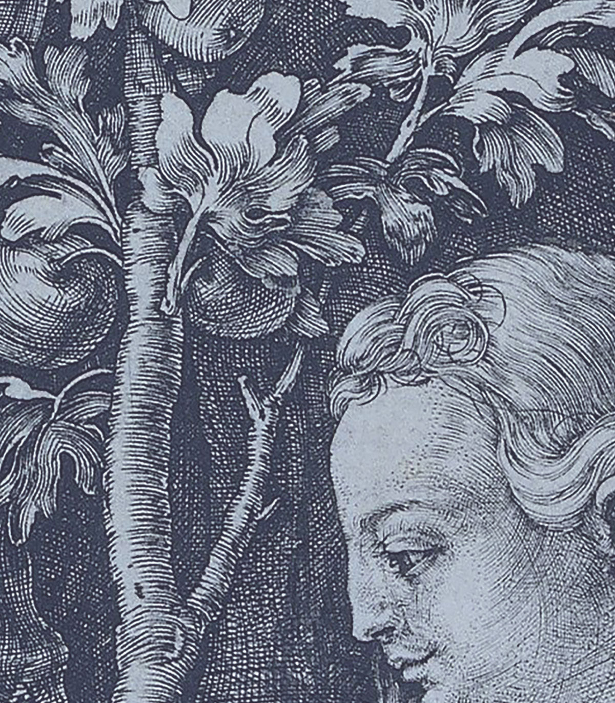 Tapeta Forbidden fruit