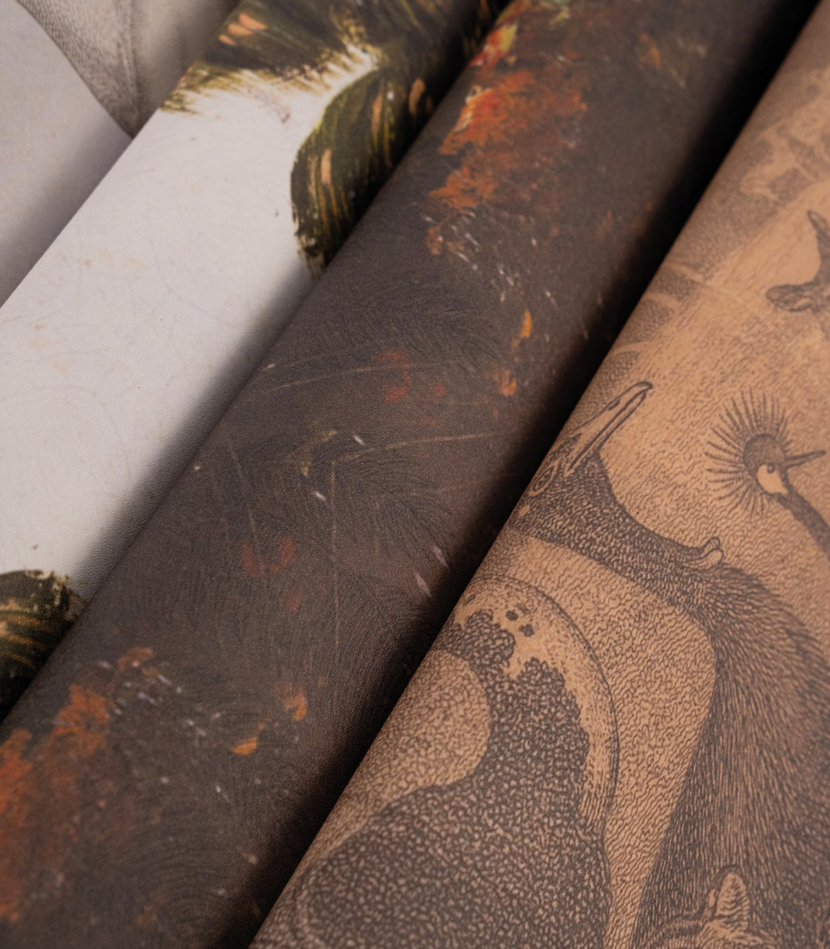 Tapeta Stardust safari