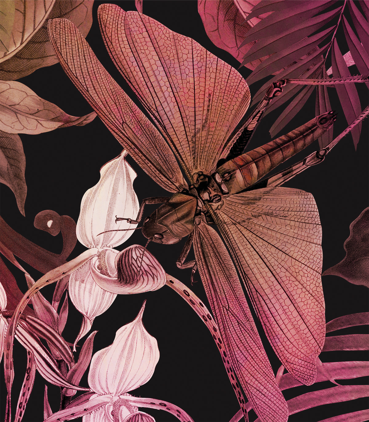 Tapeta Tropical Composition Pink