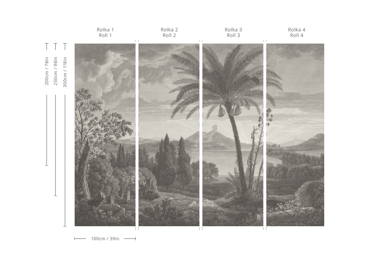 Tapeta Tropical Volcano Vista