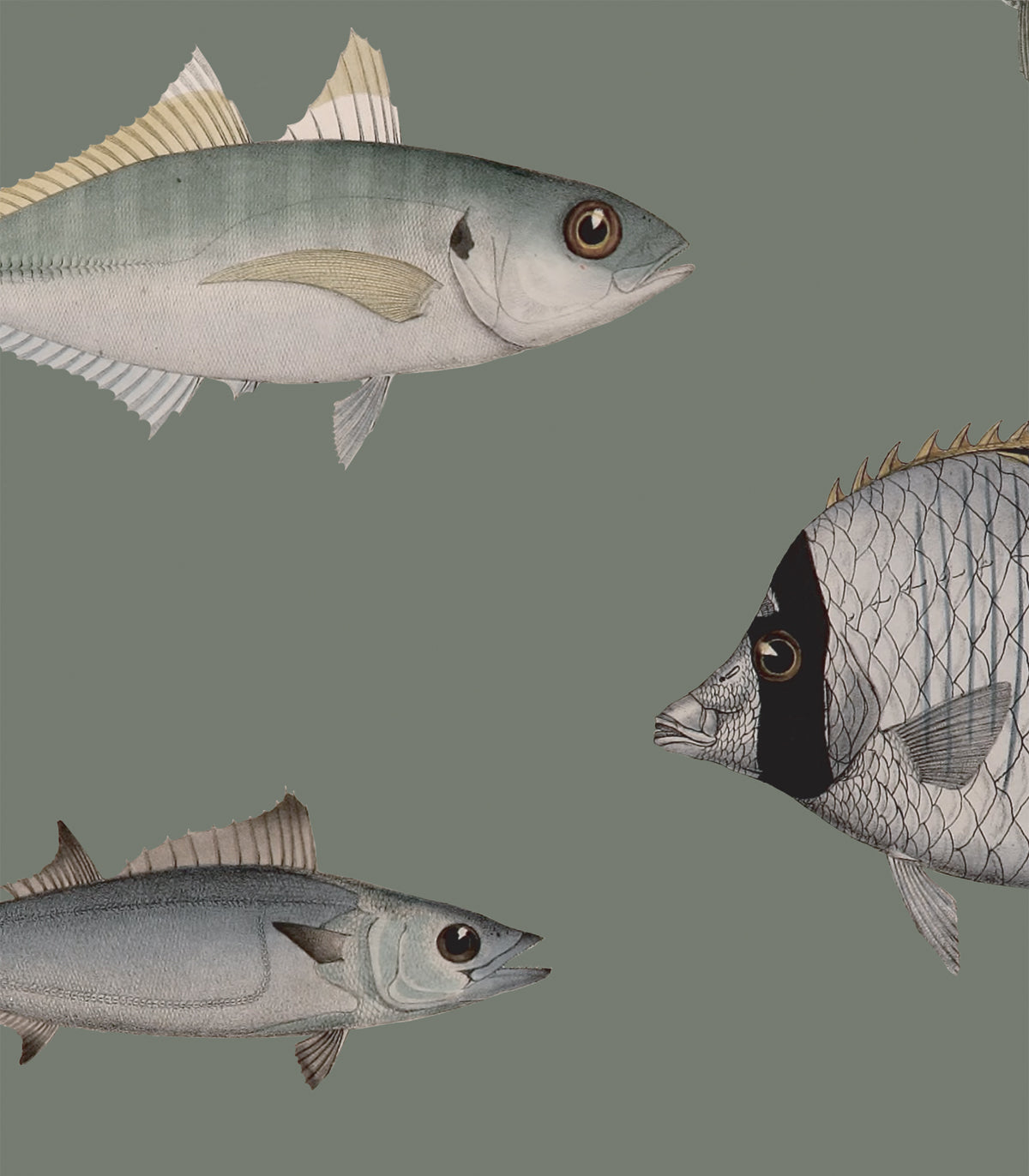 Tapeta Under the Sea Vintage Green