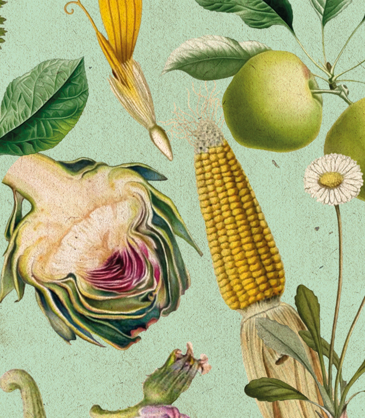 Tapeta Vegatable Yields