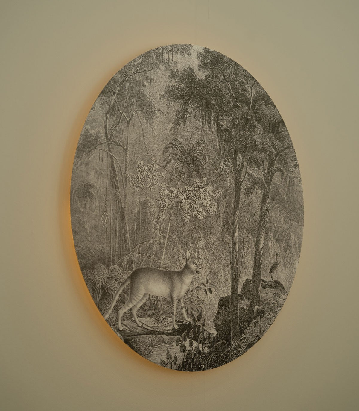 Dots Lighting Jungle Cat