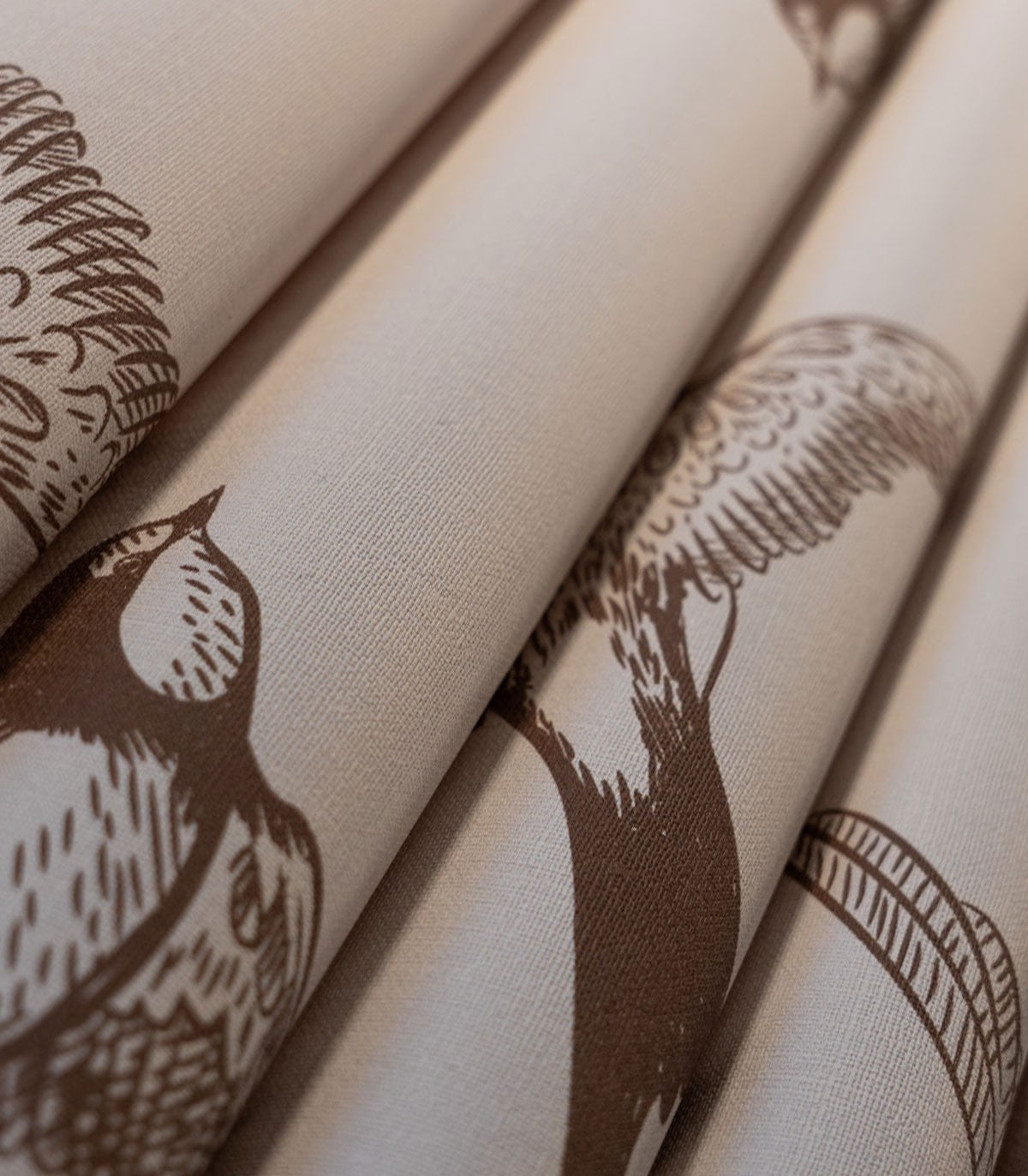 Tapeta Brown Swallow