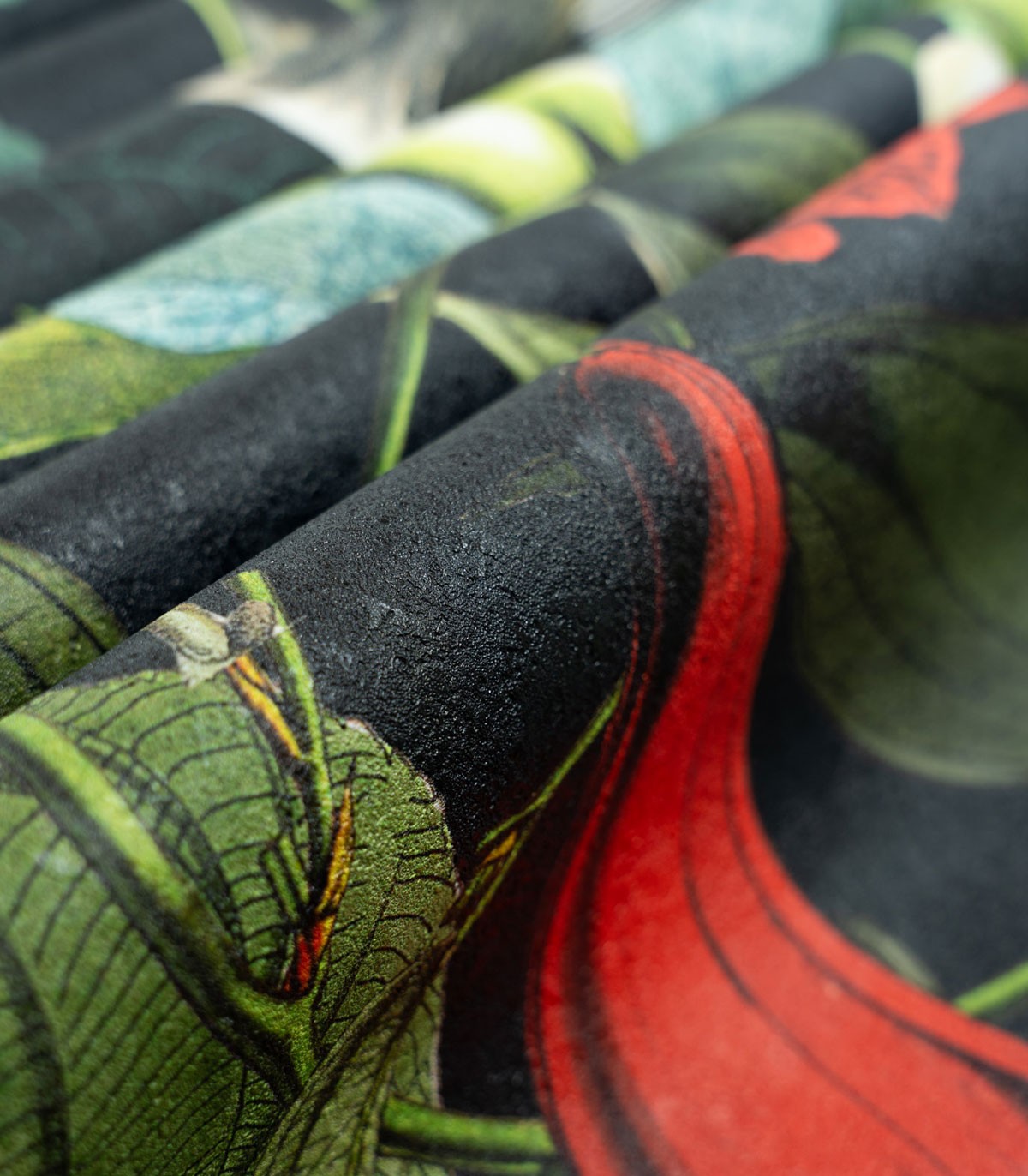 Tapeta The Jungle Book Black