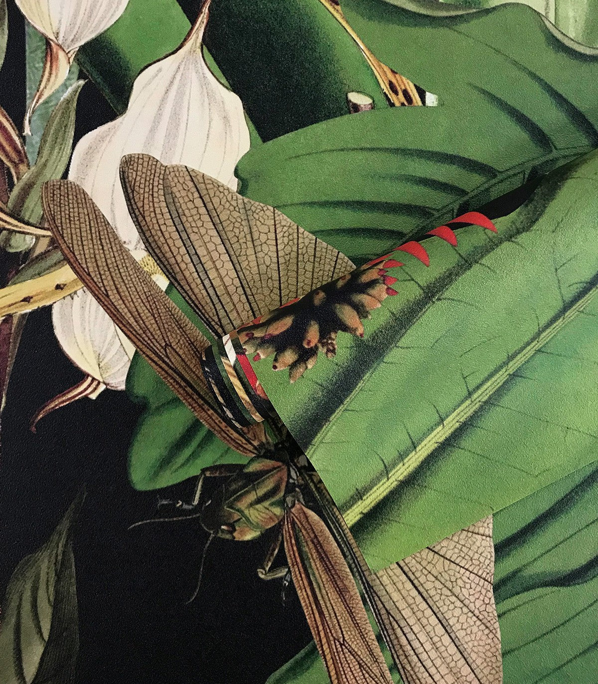 Tapeta Tropical Composition